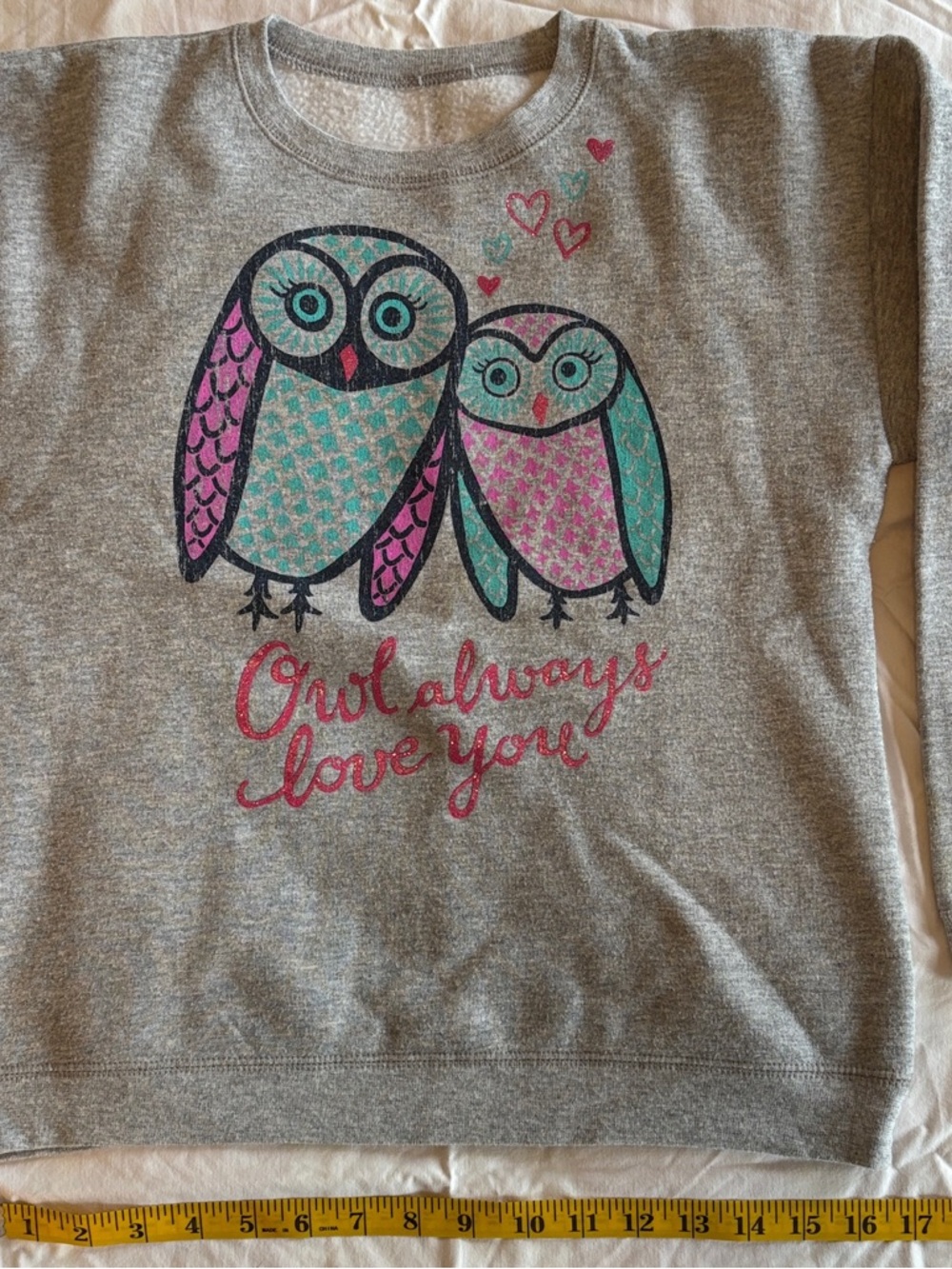 GAP Gray Sweatshirt with Turquoise & Pink Owl Graphic